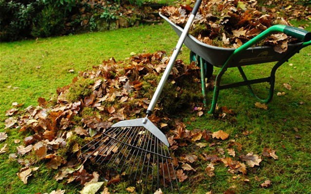 Garden leaves, wheelbarrow and rake