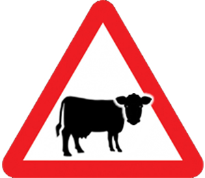 Atom heart mother sign