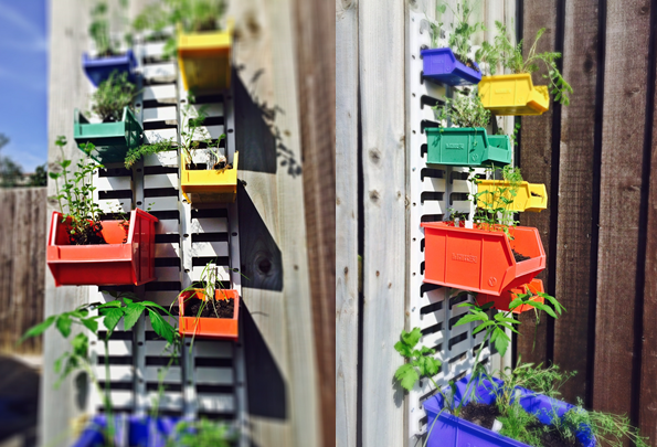 herb garden