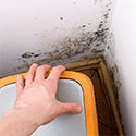 Tackling Damp - The Benefits of Dehumidifiers in The Workplace