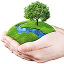 World Environment Day:  How ESE Direct Can Help You to Be More Environmentally Friendly