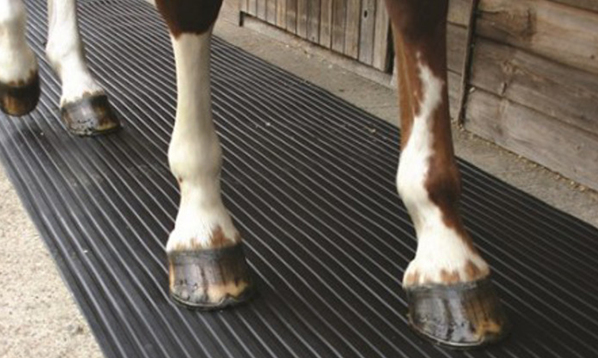 Rubber mat used as flooring in a horse stables