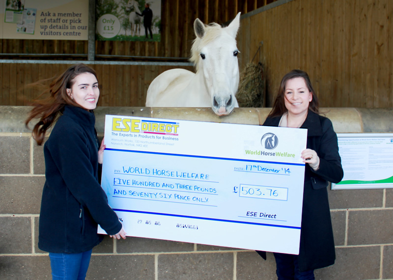 World Horse Welfare charity collects their charity donation from ESE Direct's Laura