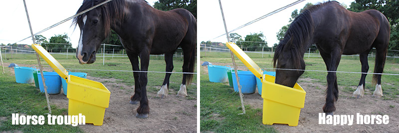 Horse Trough