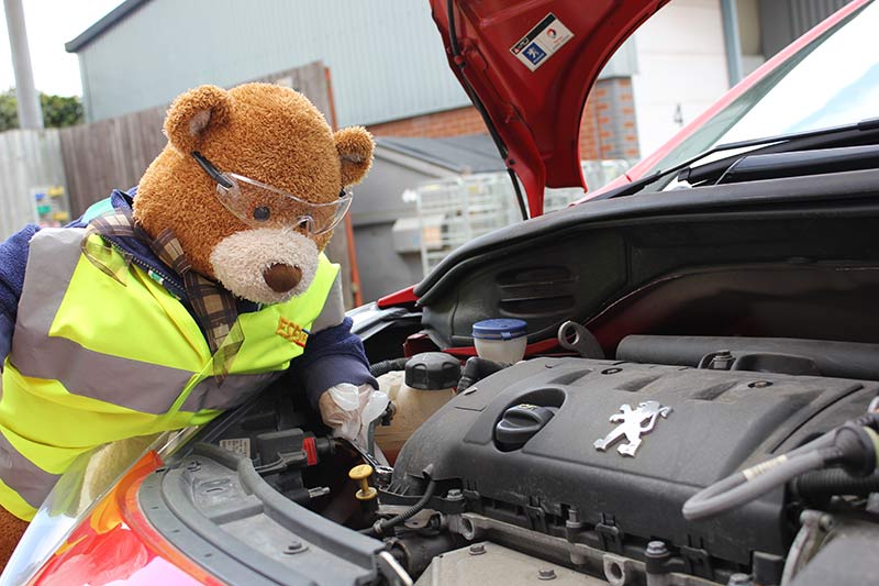 Health and Safety Bear checks the engine