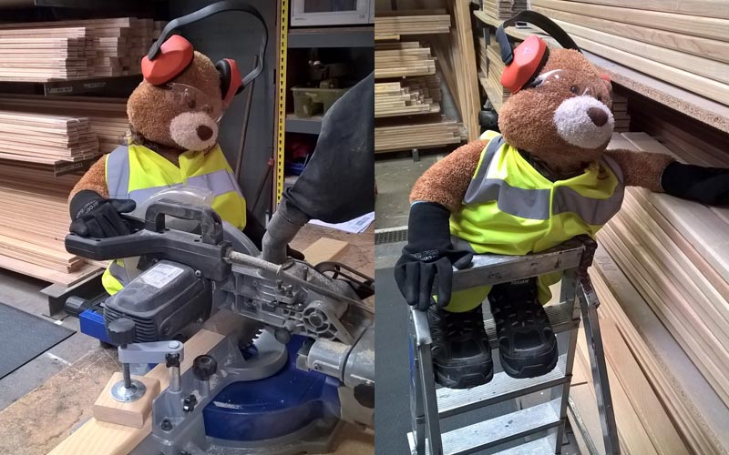 Health and Safety Bear taking on the circular saw