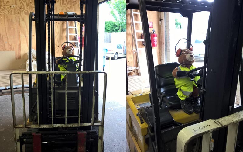 Health and Safety Bear drives the forklift