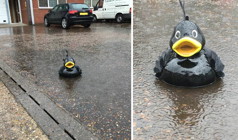 Mat enjoys the Summer rain