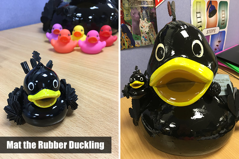 Mat the Rubber Duckling