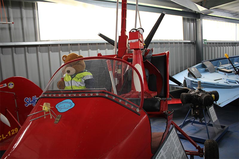 George wondered if Health and Safety Bear had actually passed his driving test?