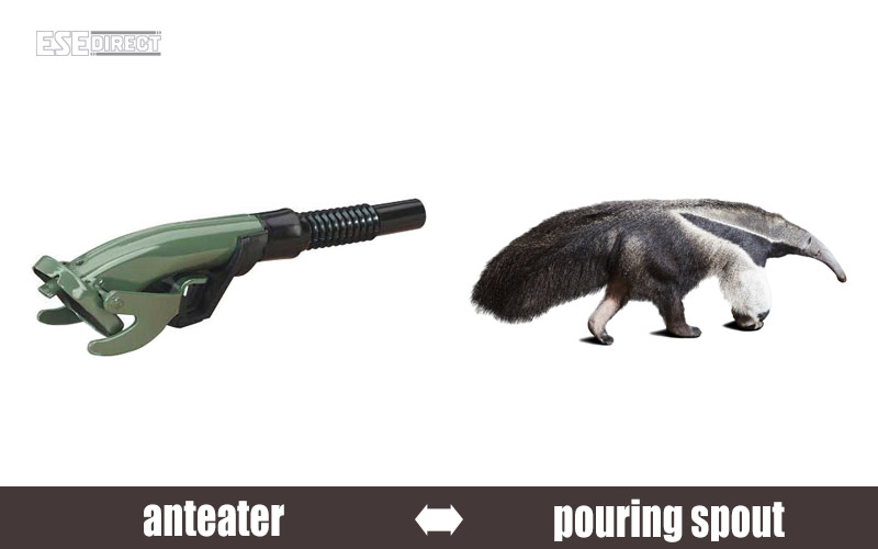 An anteater styles himself of a pouring spout
