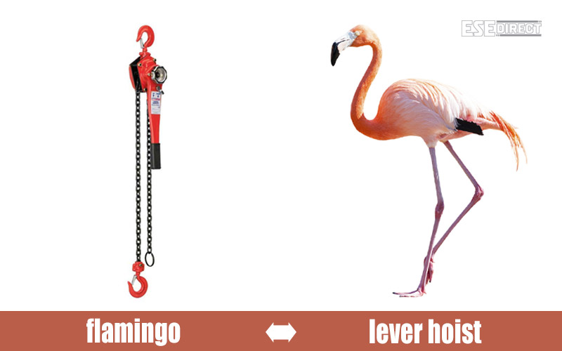 A lever hoist that looks like a flamingo