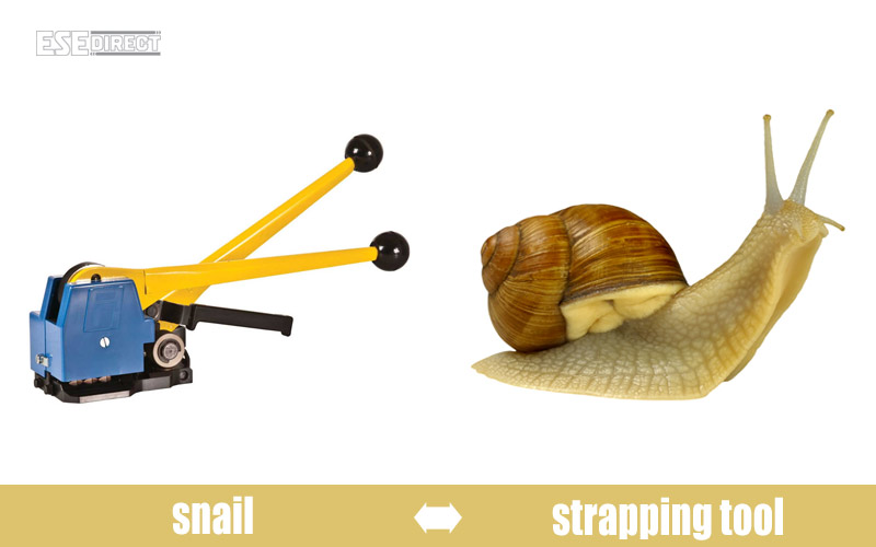 A strapping tool modelled on the grape snail