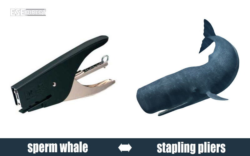 A pair of stapling pliers which look like a sperm whale