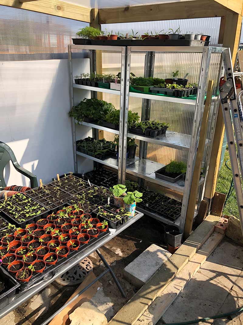 Shelving for orangery