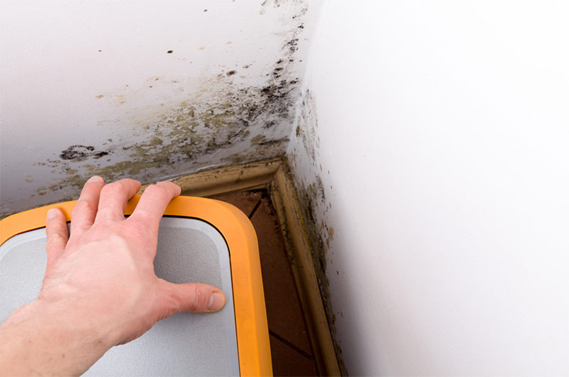 Best dehumidifier 2024: tackle damp & mould