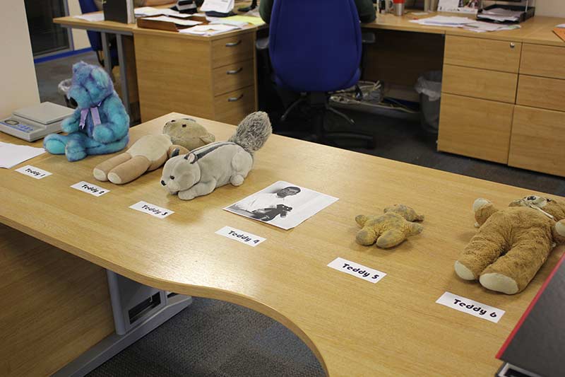 Guess the Teddy Bear Competition at ESE Direct