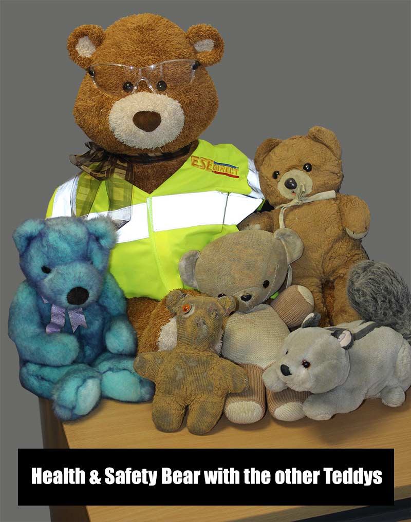 Health and Safety Bear with the other teddys