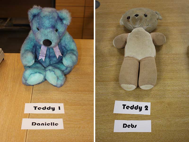 Teddys 1 and 2