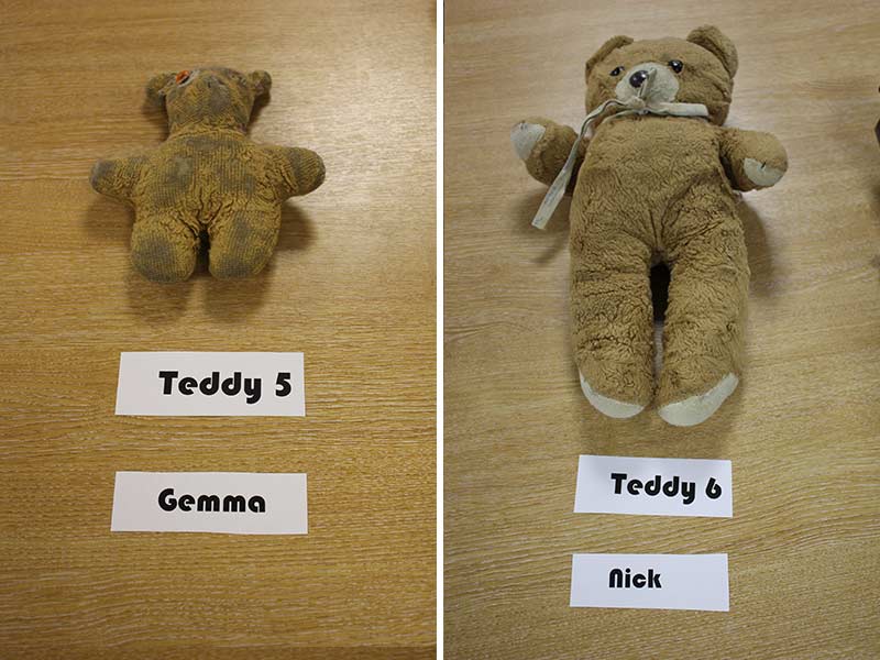 Teddys 5 and 6