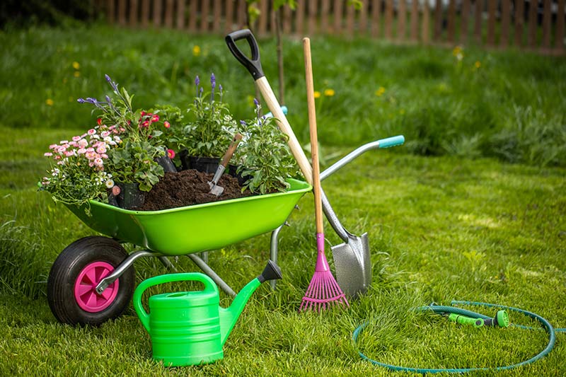What is the most useful garden tool?