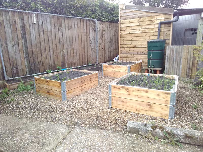 wooden pallet collars used as vegetable planters