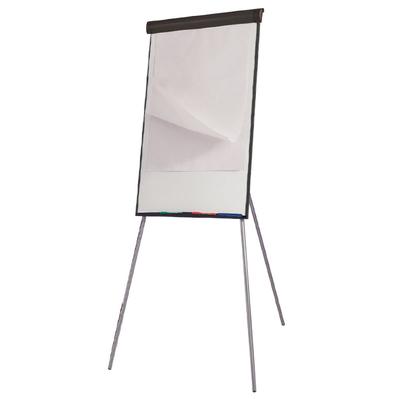 Click to view product details and reviews for Writeon Magnetic Flipchart Easel.